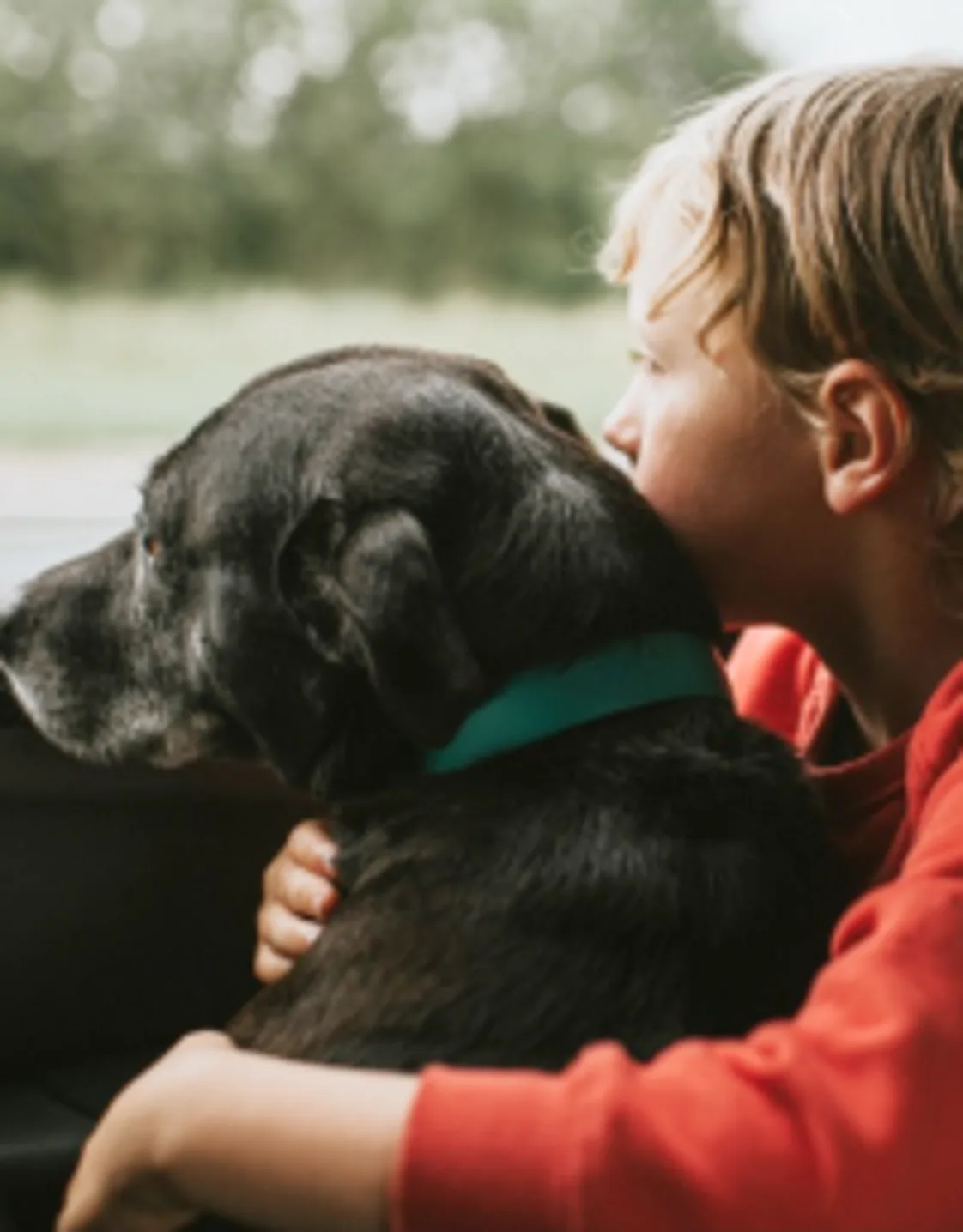 Easy Payment Plans Cinco Ranch Veterinary Hospital easy-payment-plans-cinco-ranch-veterinary-hospital